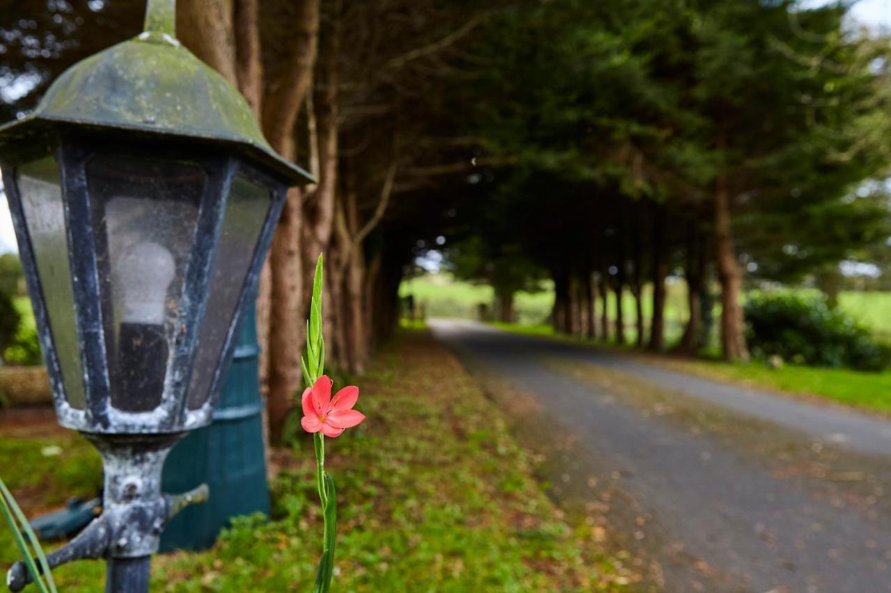 Mount Brandon Cottages Graiguenamanagh Buitenkant foto