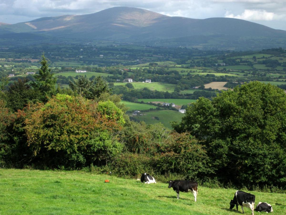 Mount Brandon Cottages Graiguenamanagh Buitenkant foto