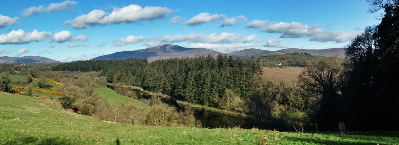 Mount Brandon Cottages Graiguenamanagh Buitenkant foto