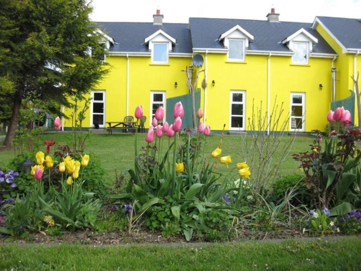 Mount Brandon Cottages Graiguenamanagh Buitenkant foto